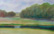 normandy_meadow